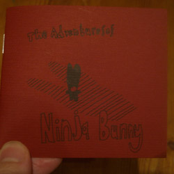 Ninja Bunny Book 1: Rain, Wind & Thunder, cover